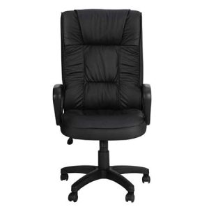 ESH-001 (High Back Superior Chair)