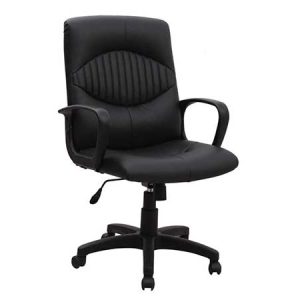 EDM-001 (Mid Back Deluxe Chair)